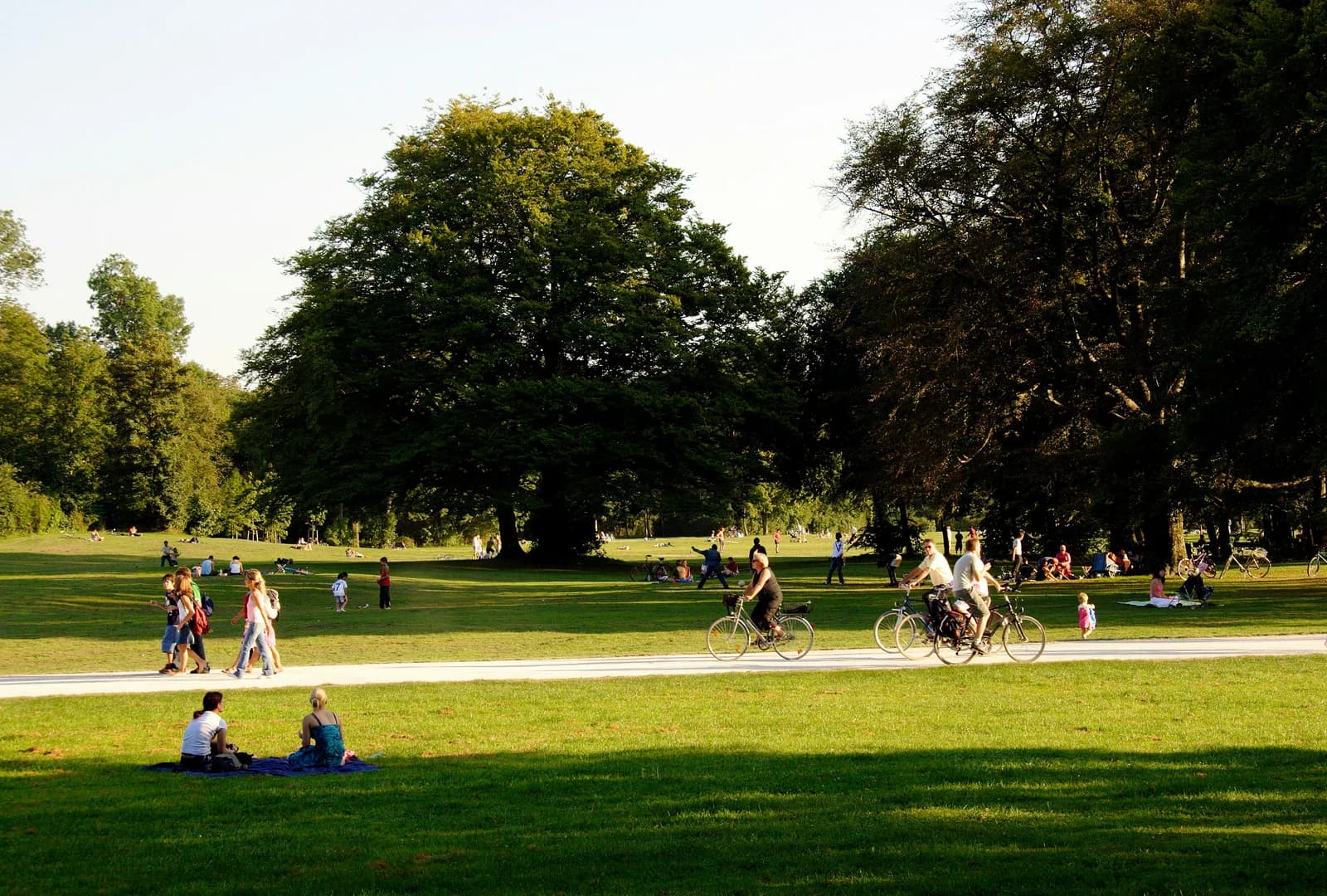 Menschen sind im Park unterwegs.