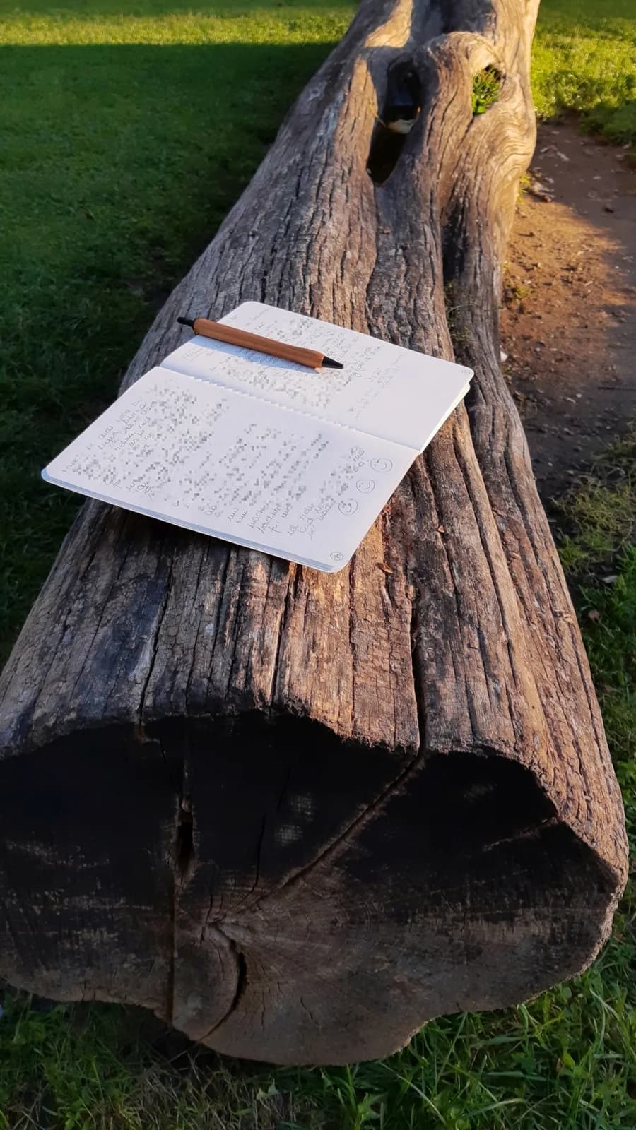 Das Schreibheft einer Teilnehmerin der Schreibgruppe liegt auf einem Baumstamm im Park.