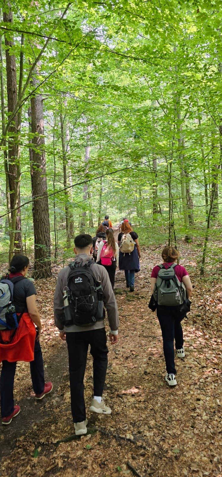 Eine Gruppe von Menschen wandert im Wald.