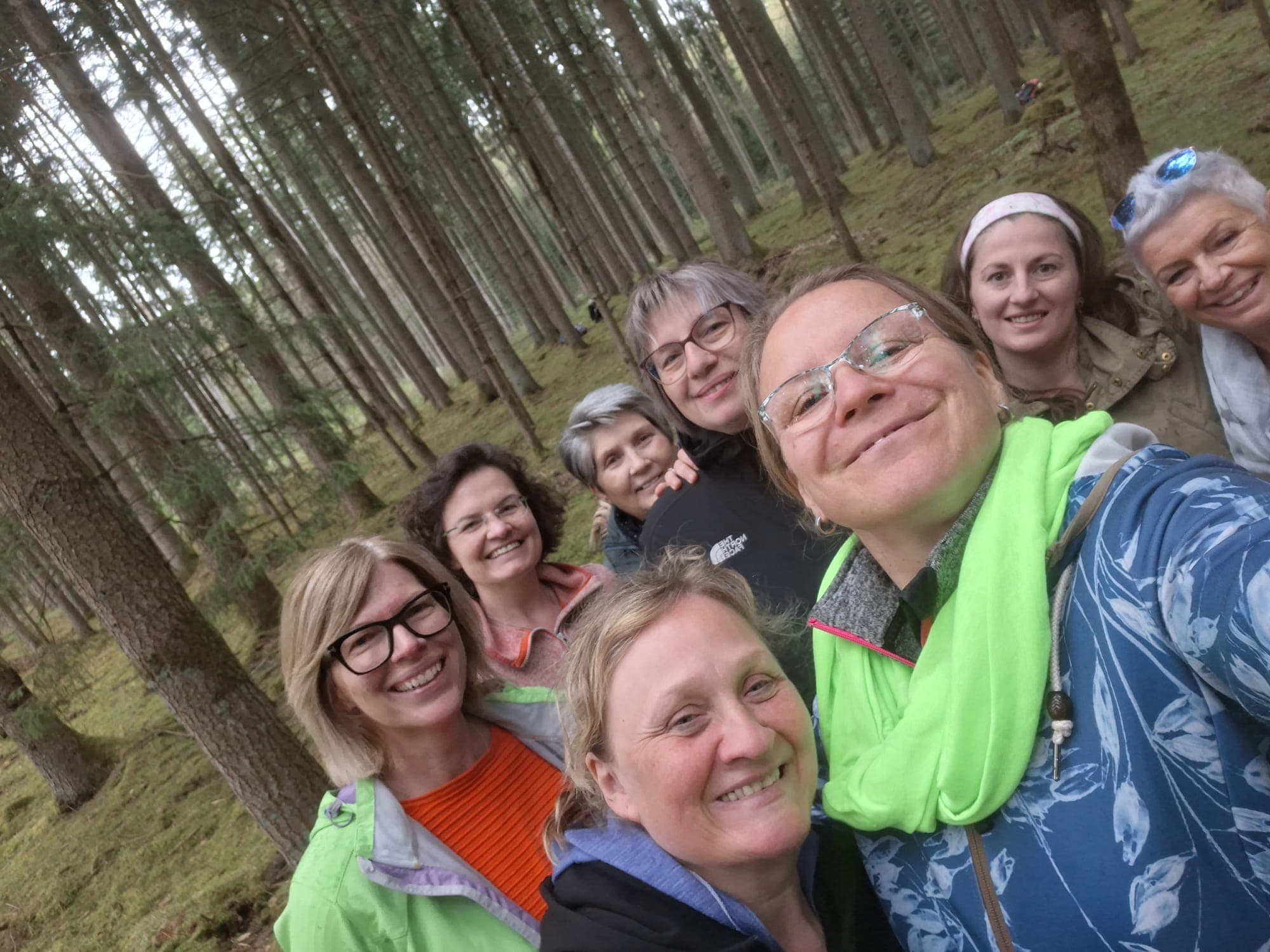 Einige Frauen treffen sich zum Waldbaden im Wald.