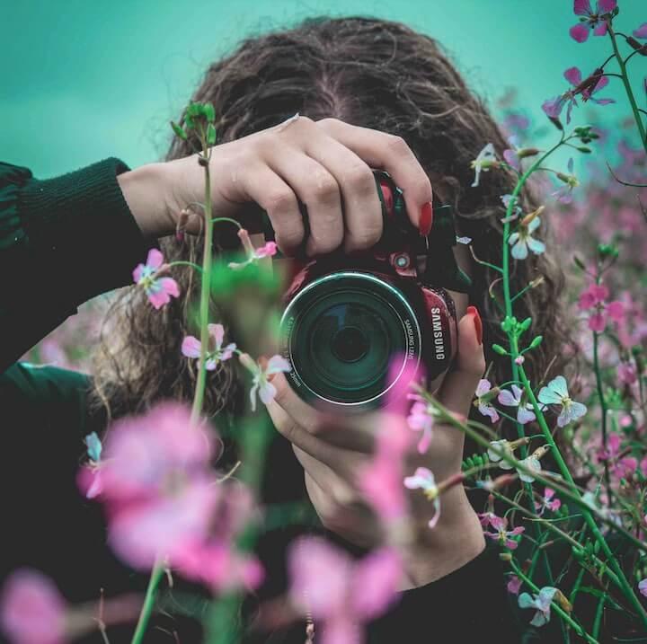 Ein Titelbild für ein Rudel