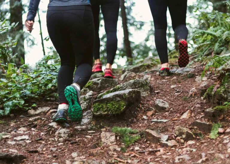 Teilnehmende beim Outdoor-Fitness für Frauen bei Prüfening im Wald von hinten fotografiert.