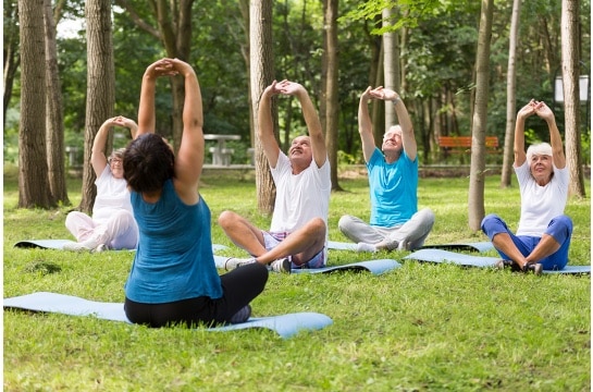 Ältere Menschen beim Yoga draussen im Rahmen von "Sport im Park" in einem Regensburger Park.
