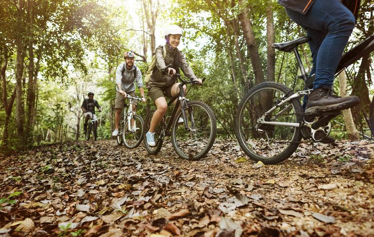Eine Gruppe von Radfahrern genießt eine Tour durch den Wald, stellvertretend für Sport im Park.