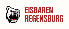 Eisbaeren-Logo-baer-icon
